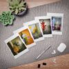 Multi-Design Blank Cards (5-Pack) - Image 4